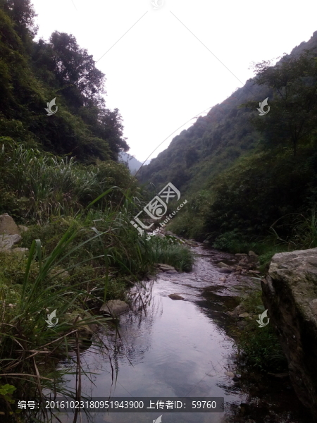 幽靜溪流