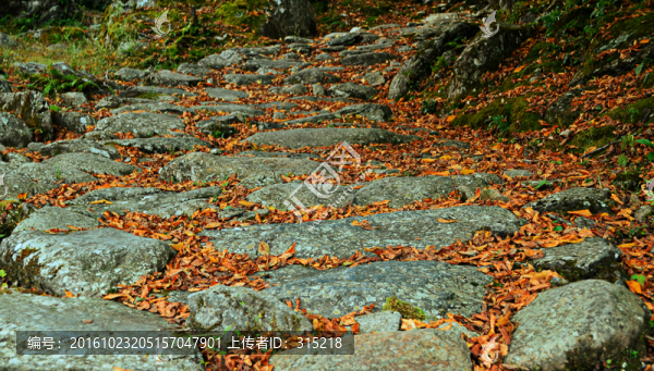 石板路,紅葉