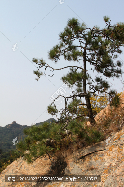 千山風(fēng)光
