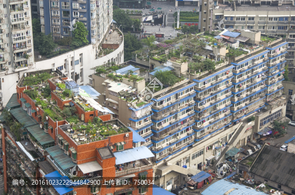 小區(qū)建筑