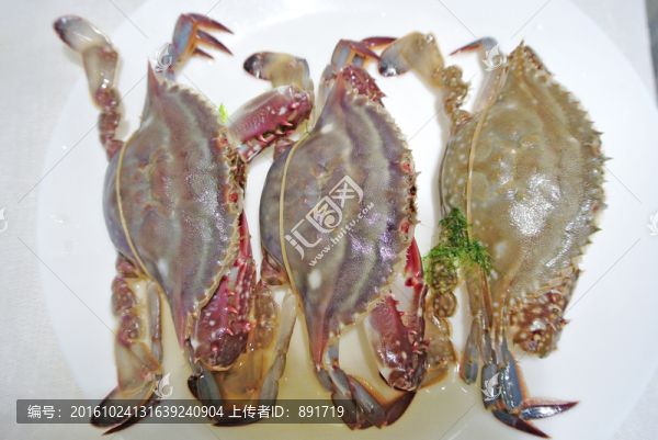 梭子蟹素材,高檔海鮮,海產(chǎn)品