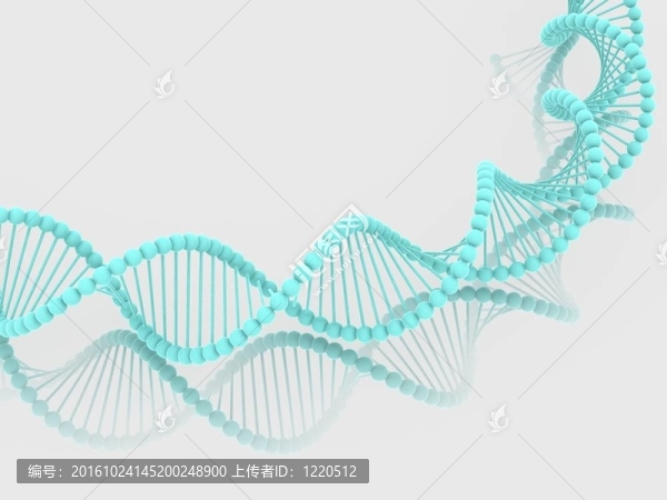基因在DNA