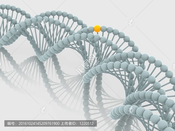 基因在DNA