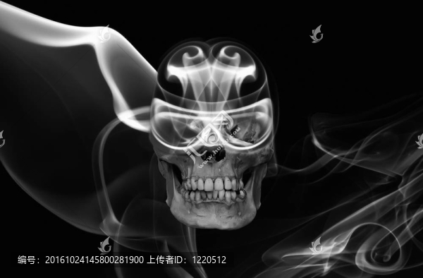 Don不騎馬和抽煙