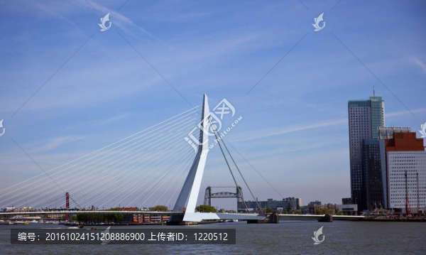 在鹿特丹中心的Erasmus橋
