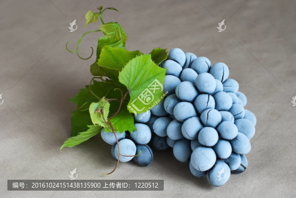 冰凍的葡萄