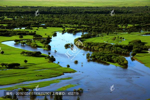 夏季濕地河流植被