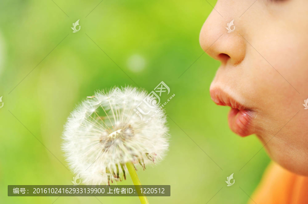 吹花