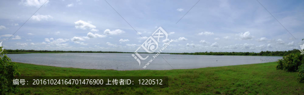 濕地全景