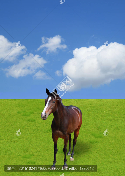 馬