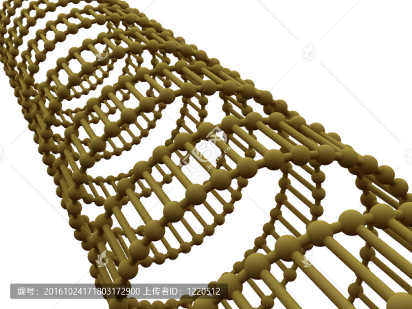 基因在DNA。