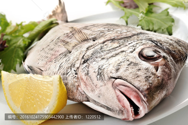 魚(yú)