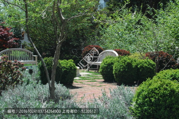 公園里的一天