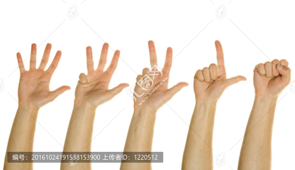 數(shù)手從一到五