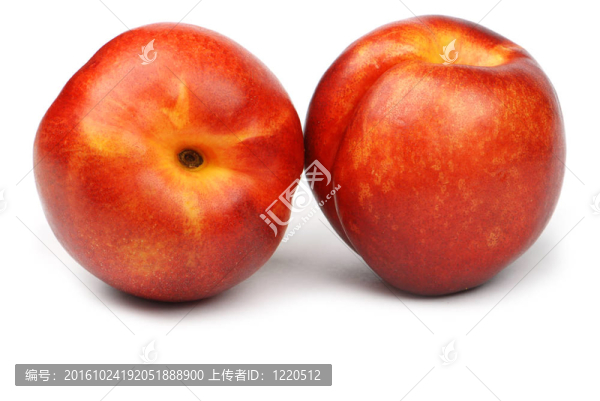 油桃