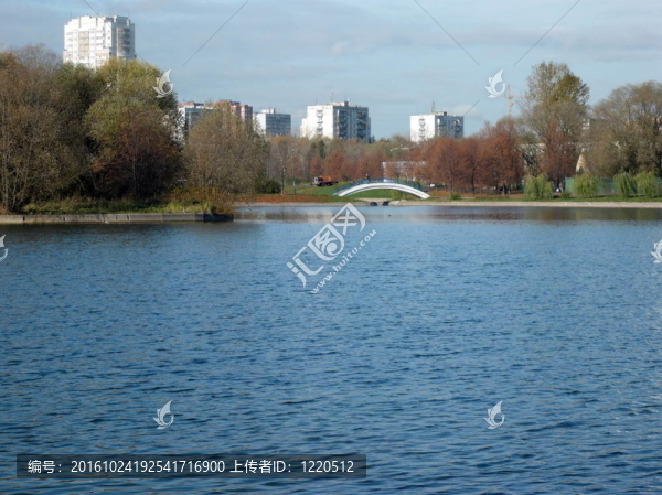 城市公園的秋天