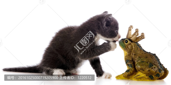 親吻王子