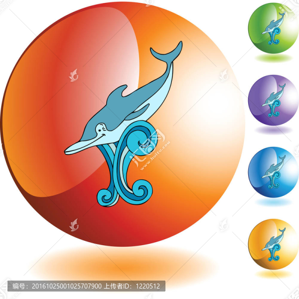 海豚