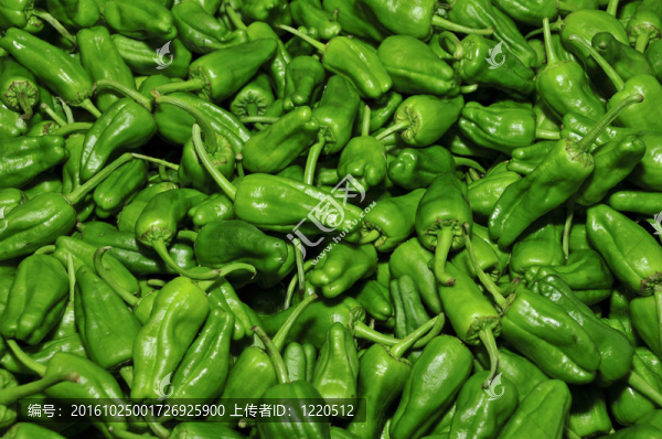 青椒