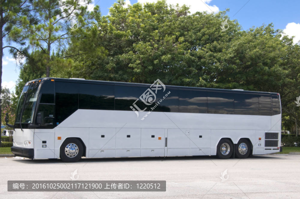 新的白車