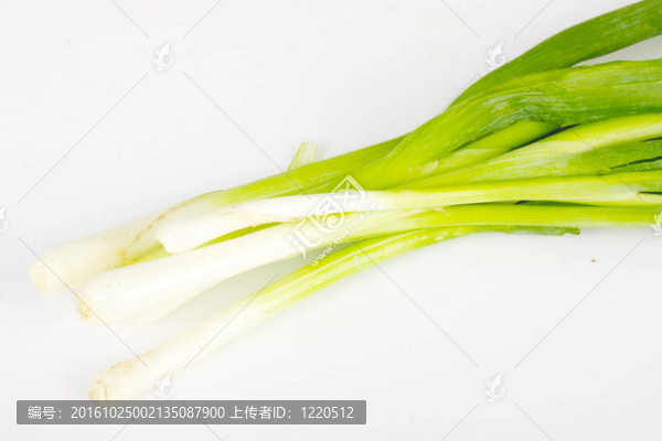 白色洋蔥頭