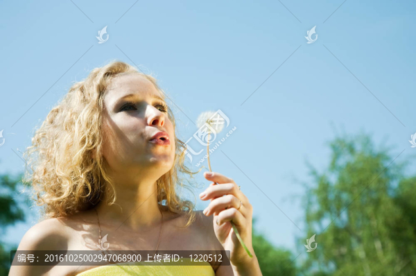 女孩蒲公英的種子