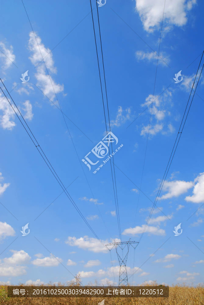 夏天的風(fēng)景