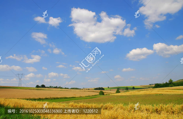 春天的風(fēng)景