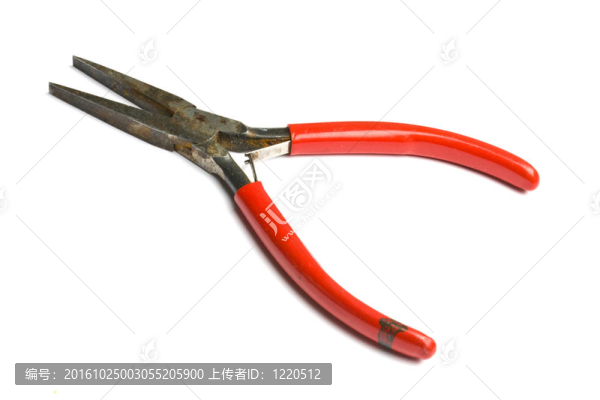 白色扁嘴鉗