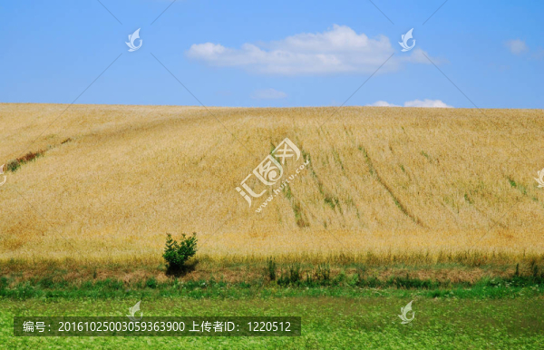 春天的風(fēng)景