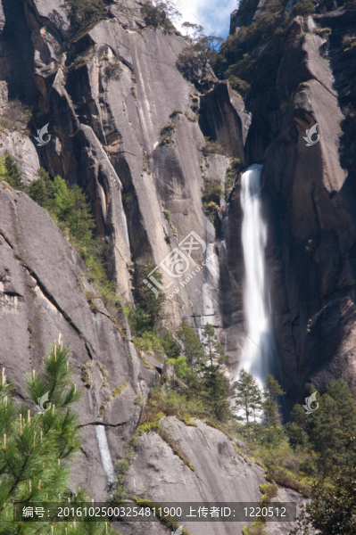 野生山