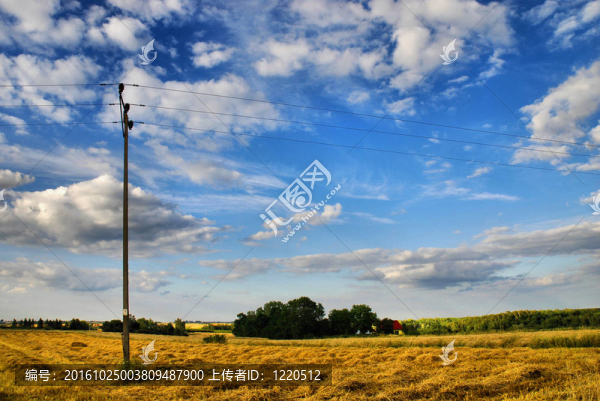 夏天的風(fēng)景