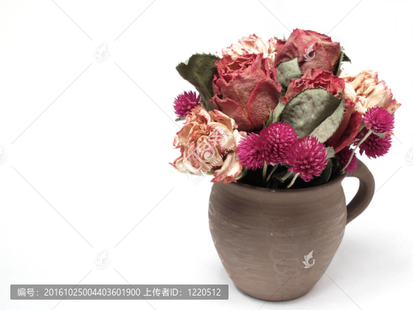 白色背景上的罐子里的干花