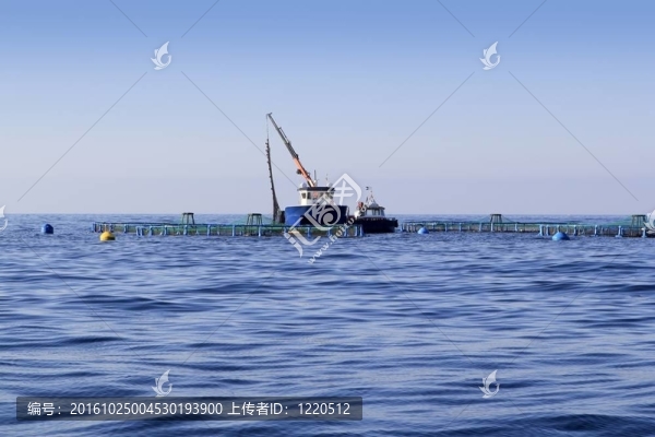 藍(lán)色海洋地平線上的養(yǎng)魚場