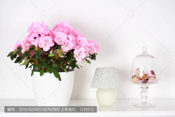 花卉在室內
