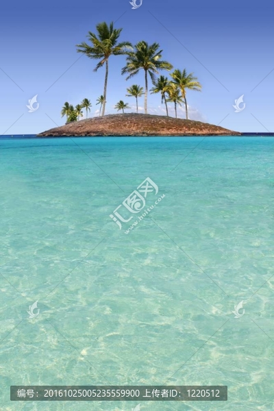 天堂棕櫚樹島熱帶綠松石海灘