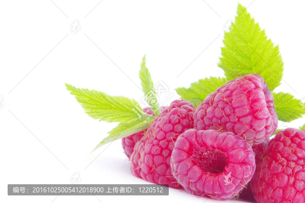 覆盆子