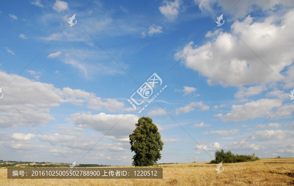 春天的風(fēng)景