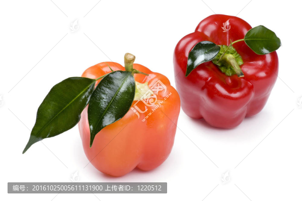 白胡椒粉