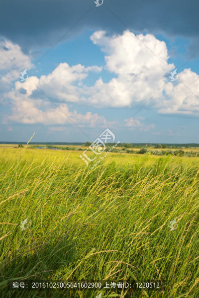 夏天的風(fēng)景
