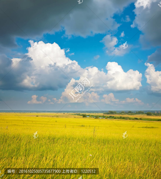 夏天的風景