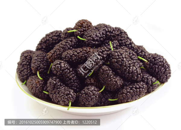 桑黑碟