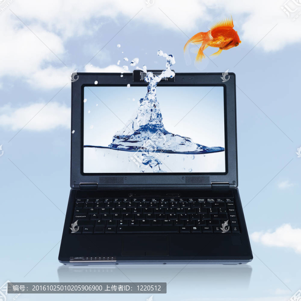 金魚和筆記本
