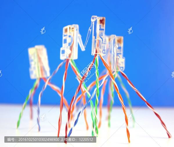 接頭RJ45網(wǎng)絡(luò)。淺景深。