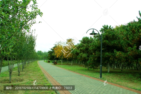 公園小路