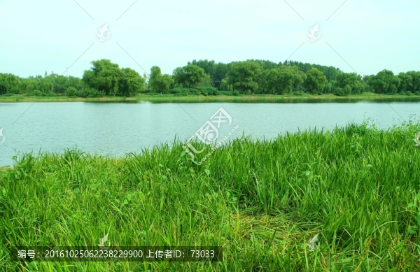 濕地