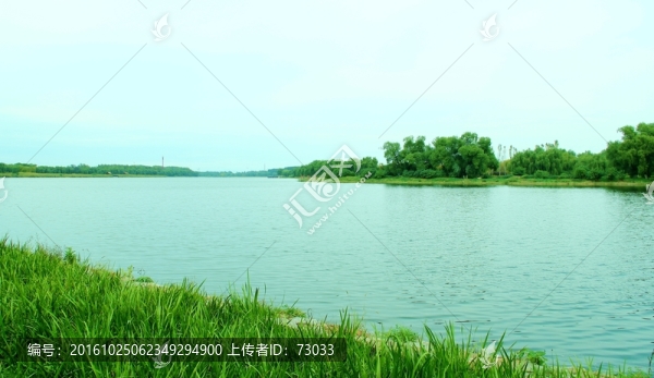 濕地