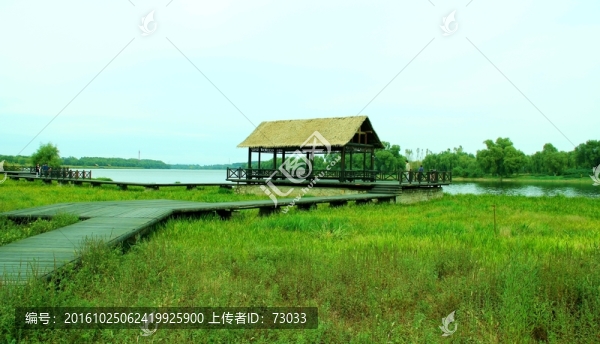 濕地草屋