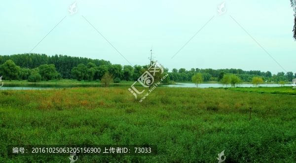 濕地
