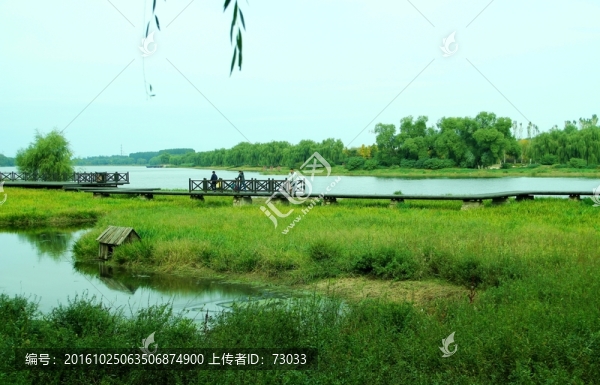 濕地